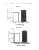 Methods for Determining Heptocellular Carcinoma Subtype and Detecting Hepatic Cancer Stem Cells diagram and image