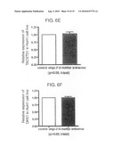 Methods for Determining Heptocellular Carcinoma Subtype and Detecting Hepatic Cancer Stem Cells diagram and image