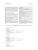 COMPOSITIONS AND METHODS FOR INHIBITING EXPRESSION OF PTP1B GENES diagram and image