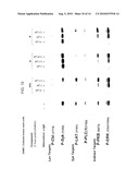 2,4-PYRIMIDINEDIAMINE COMPOUNDS AND THEIR USES diagram and image