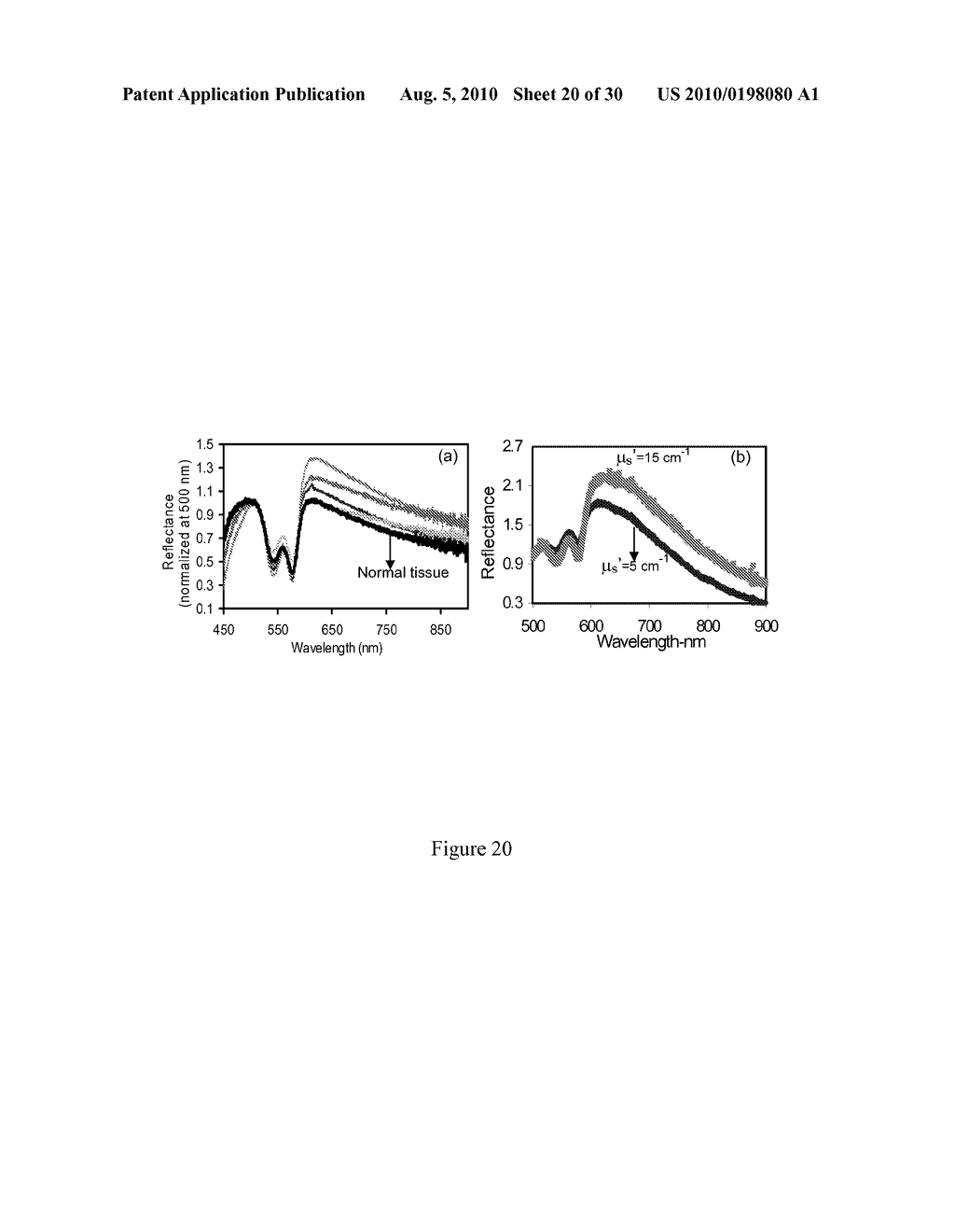 Optical Methods to Intraoperatively Detect Positive Prostate and Kidney Cancer Margins - diagram, schematic, and image 21