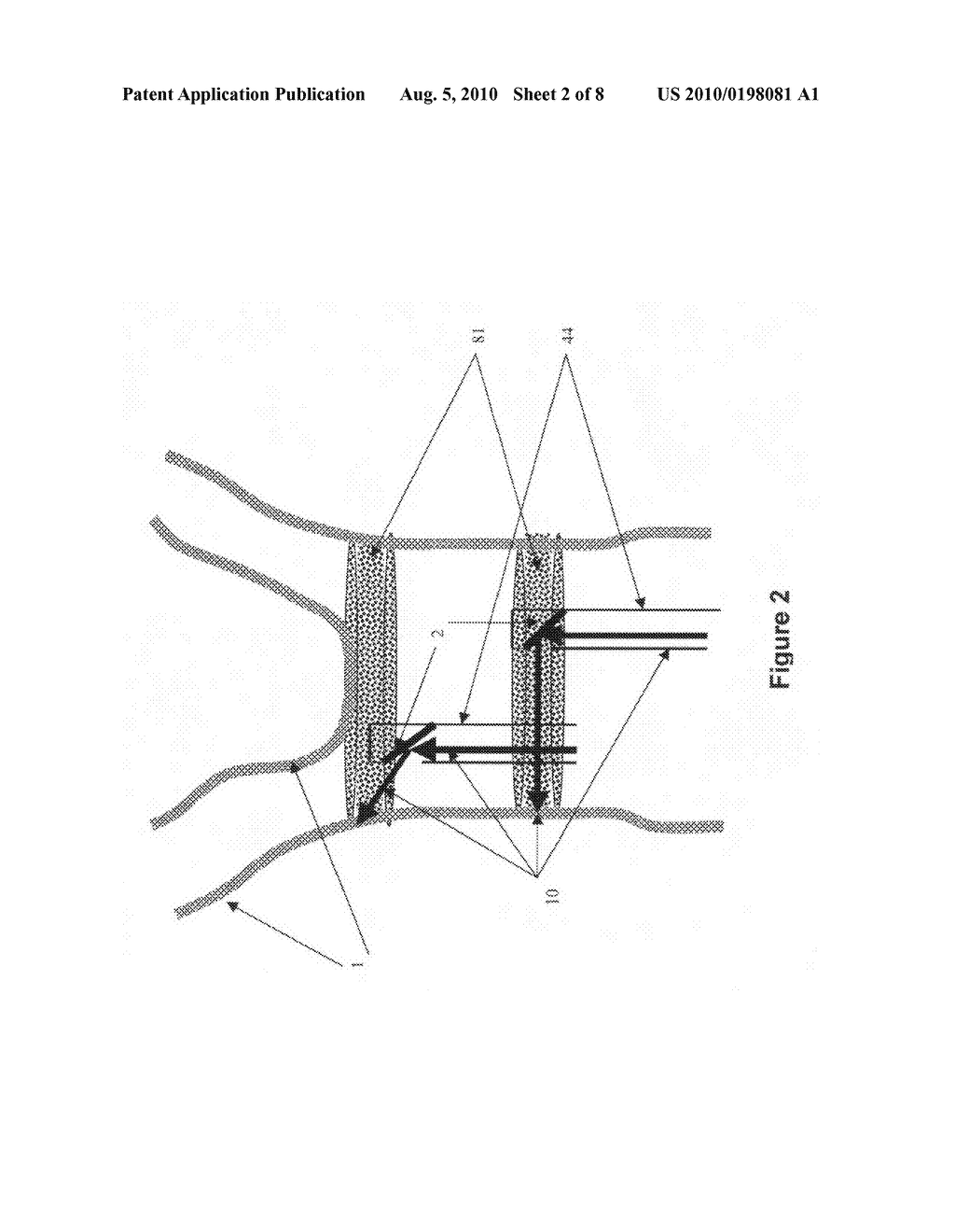 Scanning light imager - diagram, schematic, and image 03