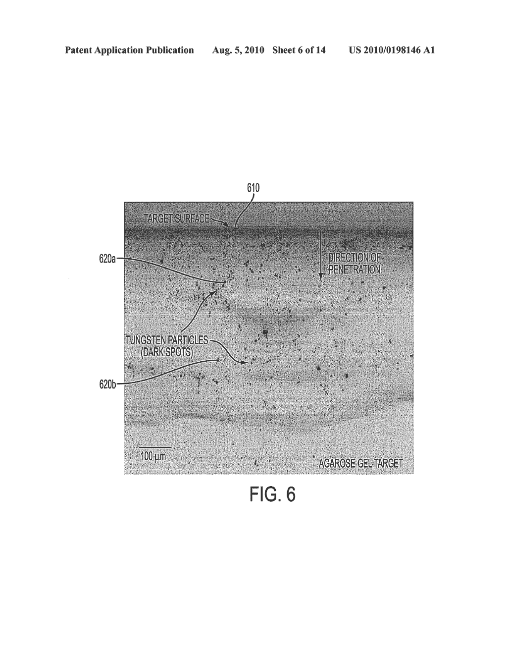 APPARATUS AND METHOD FOR DELIVERING BIOLOGICALLY-ACTIVE SUBSTANCES OR MICRO-MEDICAL DEVICES TO A TARGET - diagram, schematic, and image 07