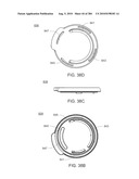 APPARATUS, SYSTEM AND METHOD FOR FLUID DELIVERY diagram and image