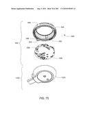 APPARATUS, SYSTEM AND METHOD FOR FLUID DELIVERY diagram and image