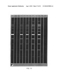 Software for the Display of Chromatographic Separation Data diagram and image