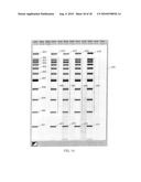 Software for the Display of Chromatographic Separation Data diagram and image