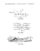 SYSTEM OF SYSTEMS FOR MONITORING GREENHOUSE GAS FLUXES diagram and image