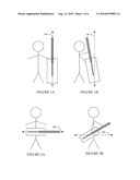 STRING INTRUMENT diagram and image