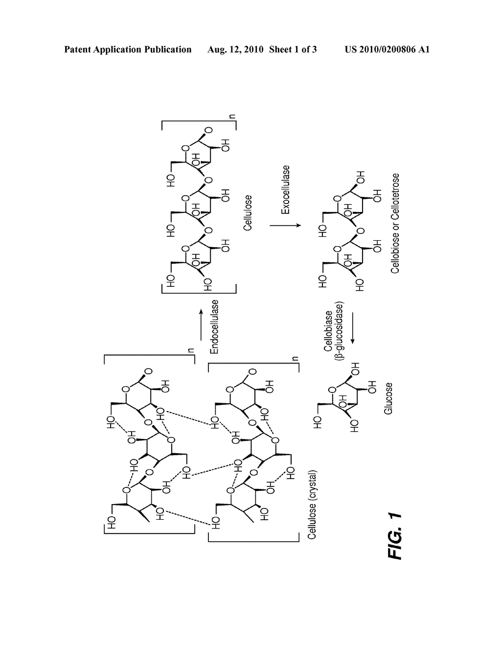 SACCHARIFYING BIOMASS - diagram, schematic, and image 02