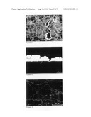 METHOD OF COATING diagram and image