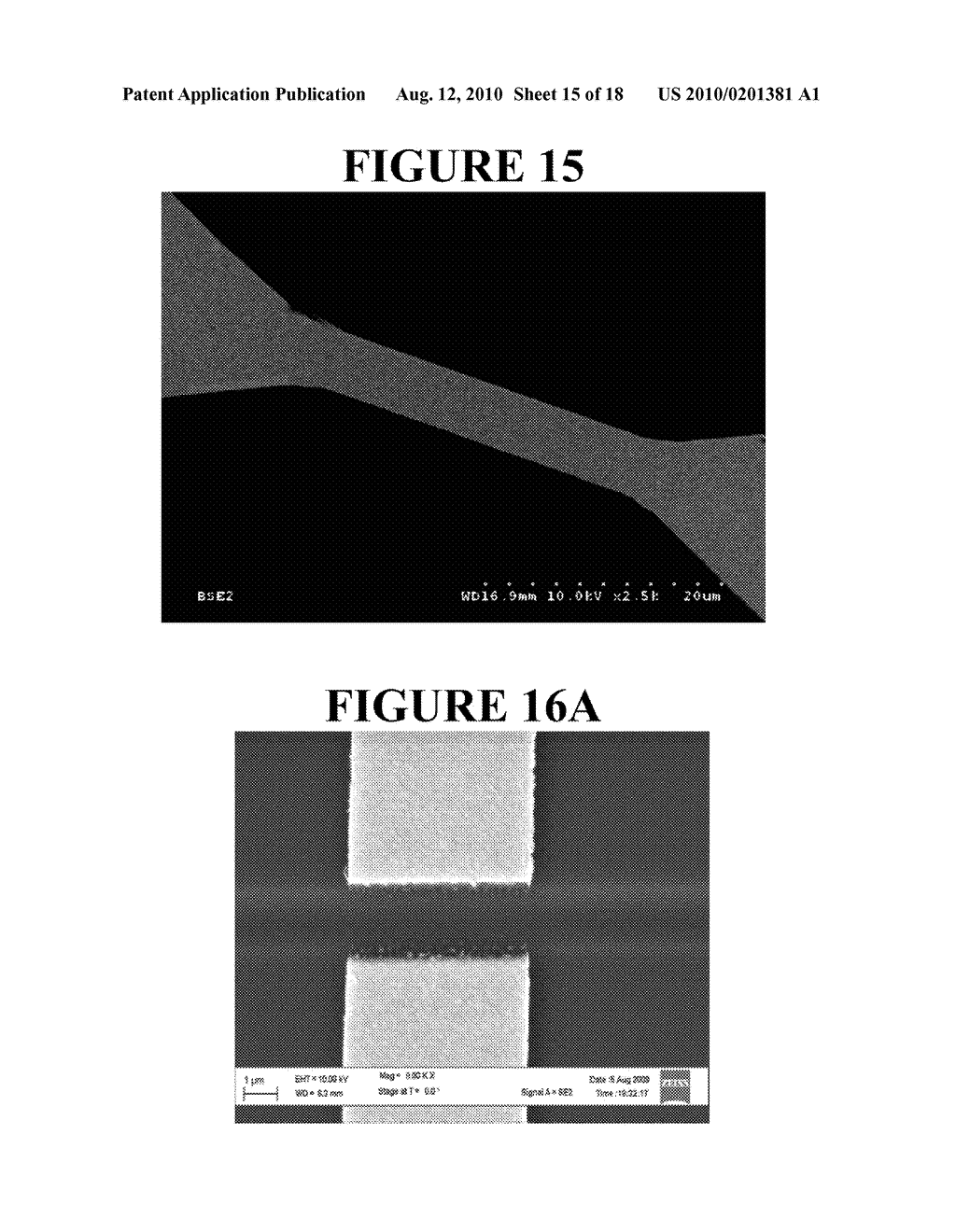 Nano-Scale Biosensors - diagram, schematic, and image 16