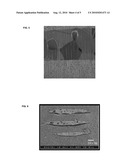 MULTILAYER COIL COMPONENT AND METHOD FOR MANUFACTURING THE SAME diagram and image