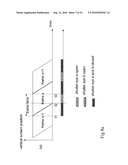 STEREO DISPLAY SYSTEM WITH SCANNING OF LIGHT VALVES diagram and image