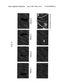 IMAGE SEGMENTATION APPARATUS AND IMAGE SEGMENTATION METHOD diagram and image