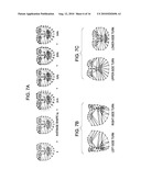 IMAGE PROCESSING APPARATUS FOR DETECTING COORDINATE POSITION OF CHARACTERISTIC PORTION OF FACE diagram and image