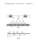 FIBER OPTIC SHAPE SENSOR diagram and image