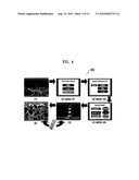 APPARATUS AND METHOD FOR REPRODUCING STORAGE MEDIUM THAT STORES METADATA FOR PROVIDING ENHANCED SEARCH FUNCTION diagram and image