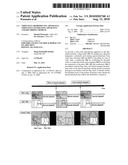 Video data reproducing apparatus, video data generating apparatus and recording medium diagram and image