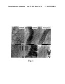 POROUS FILAMENTOUS NANOCARBON AND METHOD OF FORMING THE SAME diagram and image