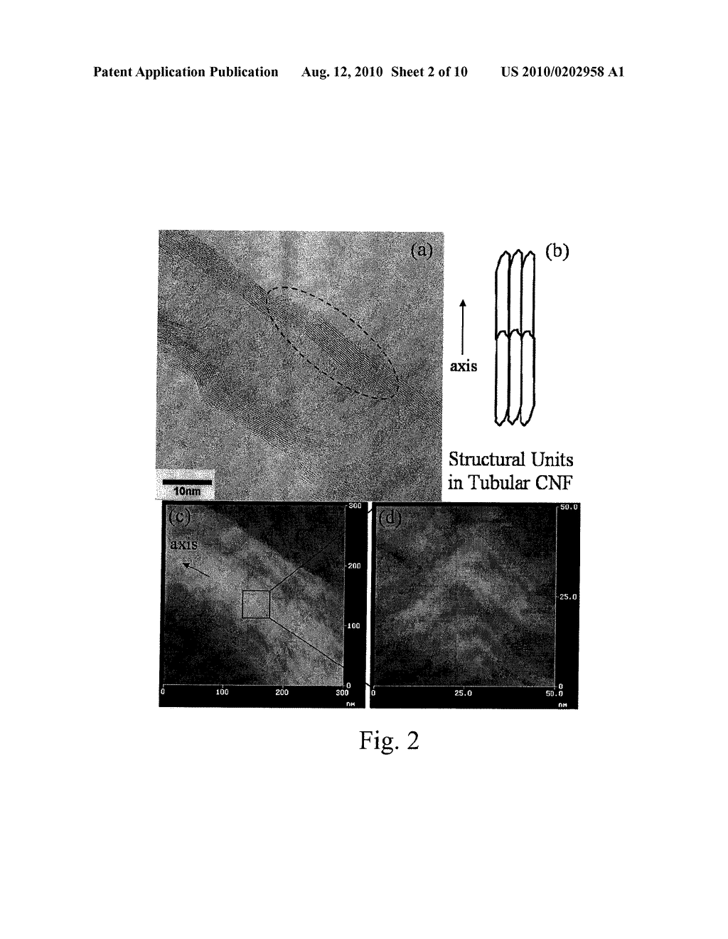 POROUS FILAMENTOUS NANOCARBON AND METHOD OF FORMING THE SAME - diagram, schematic, and image 03