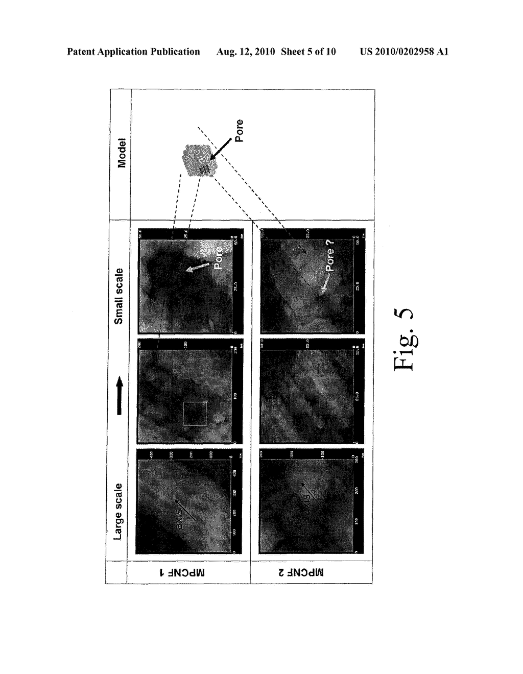 POROUS FILAMENTOUS NANOCARBON AND METHOD OF FORMING THE SAME - diagram, schematic, and image 06