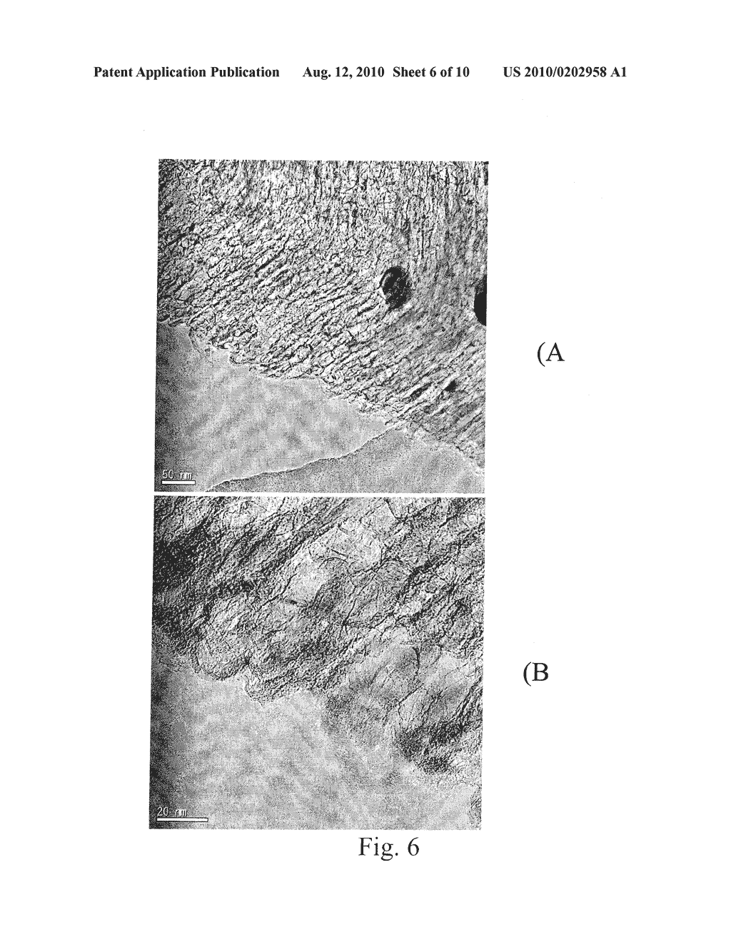 POROUS FILAMENTOUS NANOCARBON AND METHOD OF FORMING THE SAME - diagram, schematic, and image 07