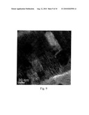 POROUS FILAMENTOUS NANOCARBON AND METHOD OF FORMING THE SAME diagram and image