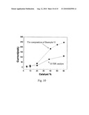 POROUS FILAMENTOUS NANOCARBON AND METHOD OF FORMING THE SAME diagram and image