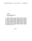 Organ Homing Genes of Cancer Metastases diagram and image