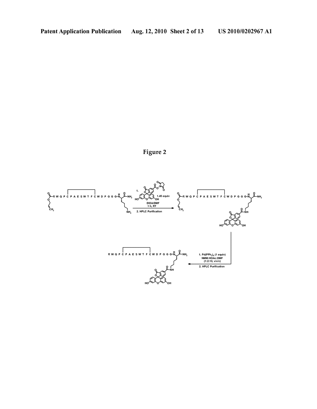 FIBRIN BINDING PEPETIDE CONJUGATES FOR DIAGNOSTIC AND THERAPEUTIC APPLICATIONS - diagram, schematic, and image 03