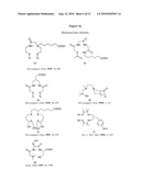 FIBRIN BINDING PEPETIDE CONJUGATES FOR DIAGNOSTIC AND THERAPEUTIC APPLICATIONS diagram and image