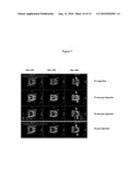 FIBRIN BINDING PEPETIDE CONJUGATES FOR DIAGNOSTIC AND THERAPEUTIC APPLICATIONS diagram and image