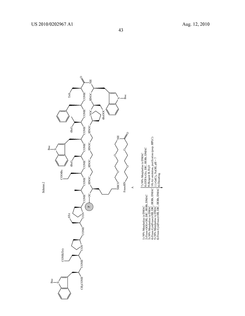 FIBRIN BINDING PEPETIDE CONJUGATES FOR DIAGNOSTIC AND THERAPEUTIC APPLICATIONS - diagram, schematic, and image 57