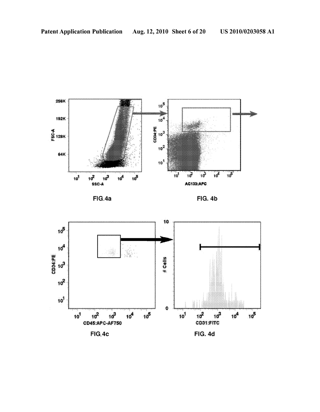 DIAGNOSTICS AND THERAPEUTICS BASED ON CIRCULATING PROGENITOR CELLS - diagram, schematic, and image 07