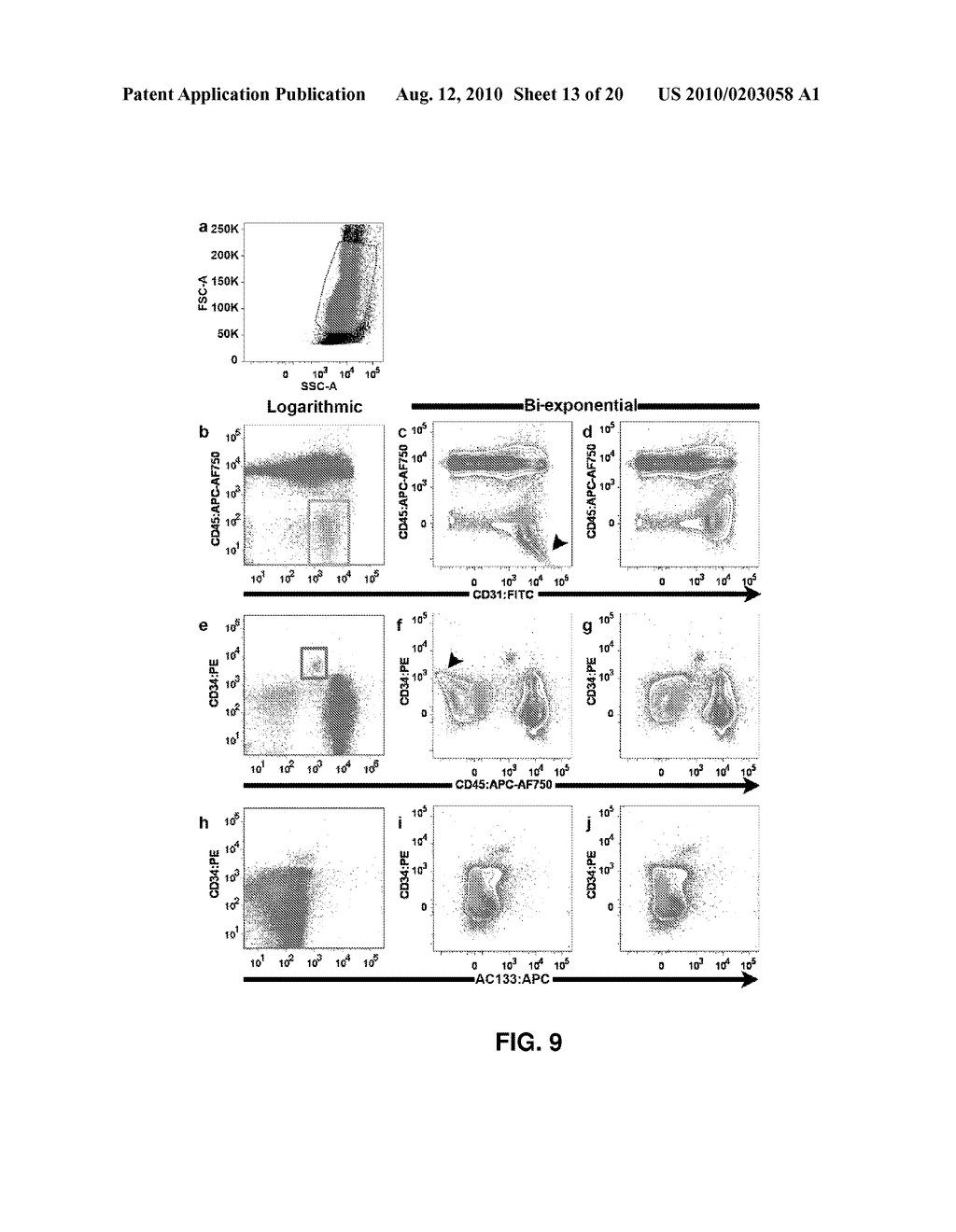 DIAGNOSTICS AND THERAPEUTICS BASED ON CIRCULATING PROGENITOR CELLS - diagram, schematic, and image 14