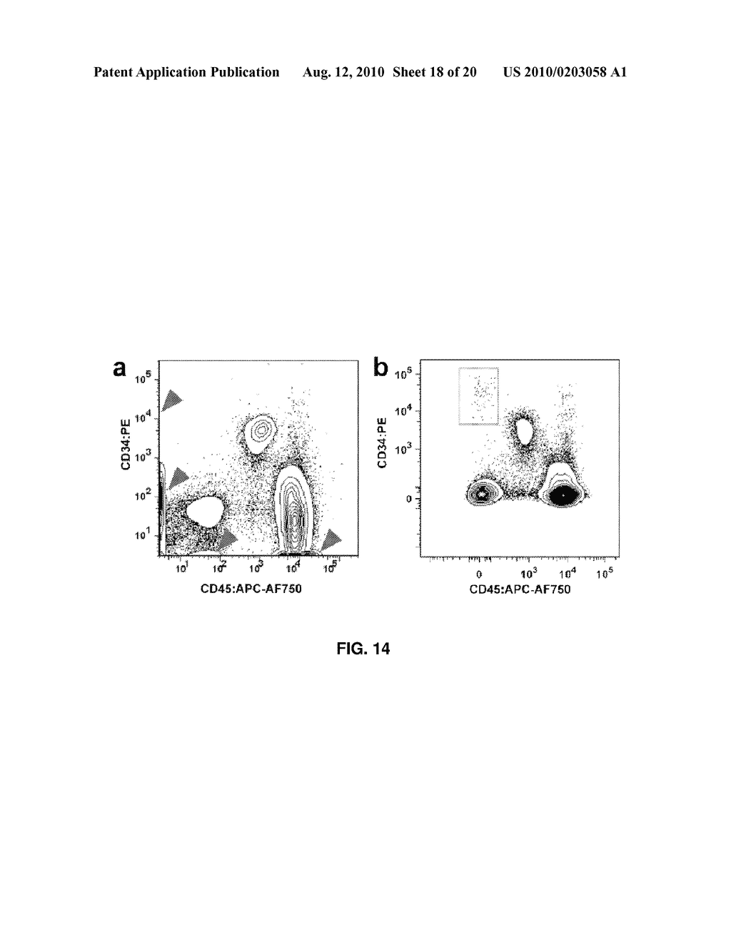 DIAGNOSTICS AND THERAPEUTICS BASED ON CIRCULATING PROGENITOR CELLS - diagram, schematic, and image 19