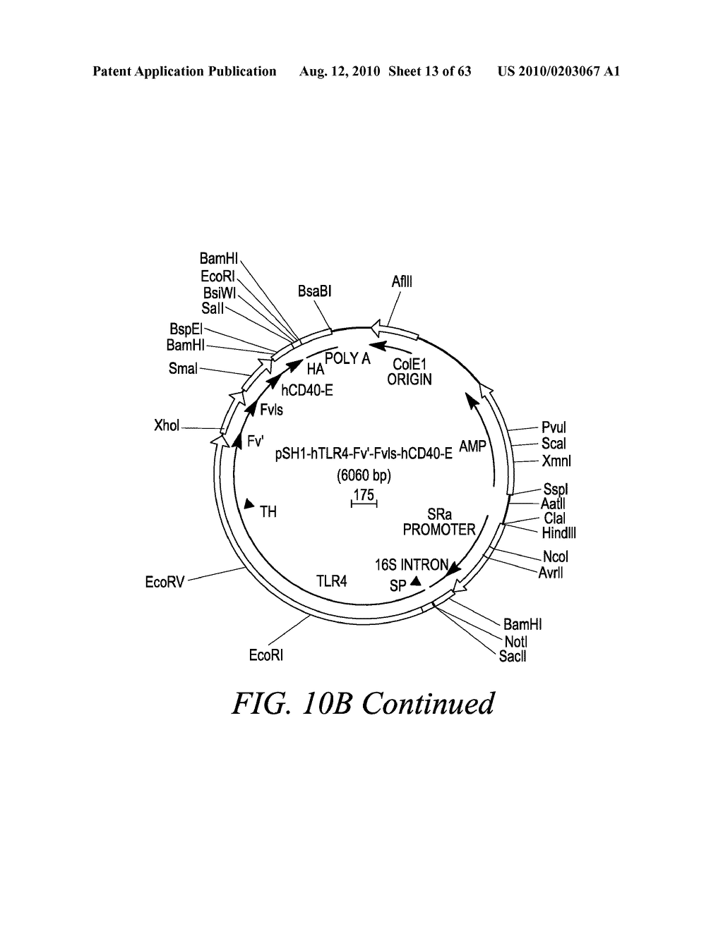 METHODS AND COMPOSITIONS FOR GENERATING AN IMMUNE RESPONSE BY INDUCING CD40 AND PATTERN RECOGNITION RECEPTOR ADAPTERS - diagram, schematic, and image 14