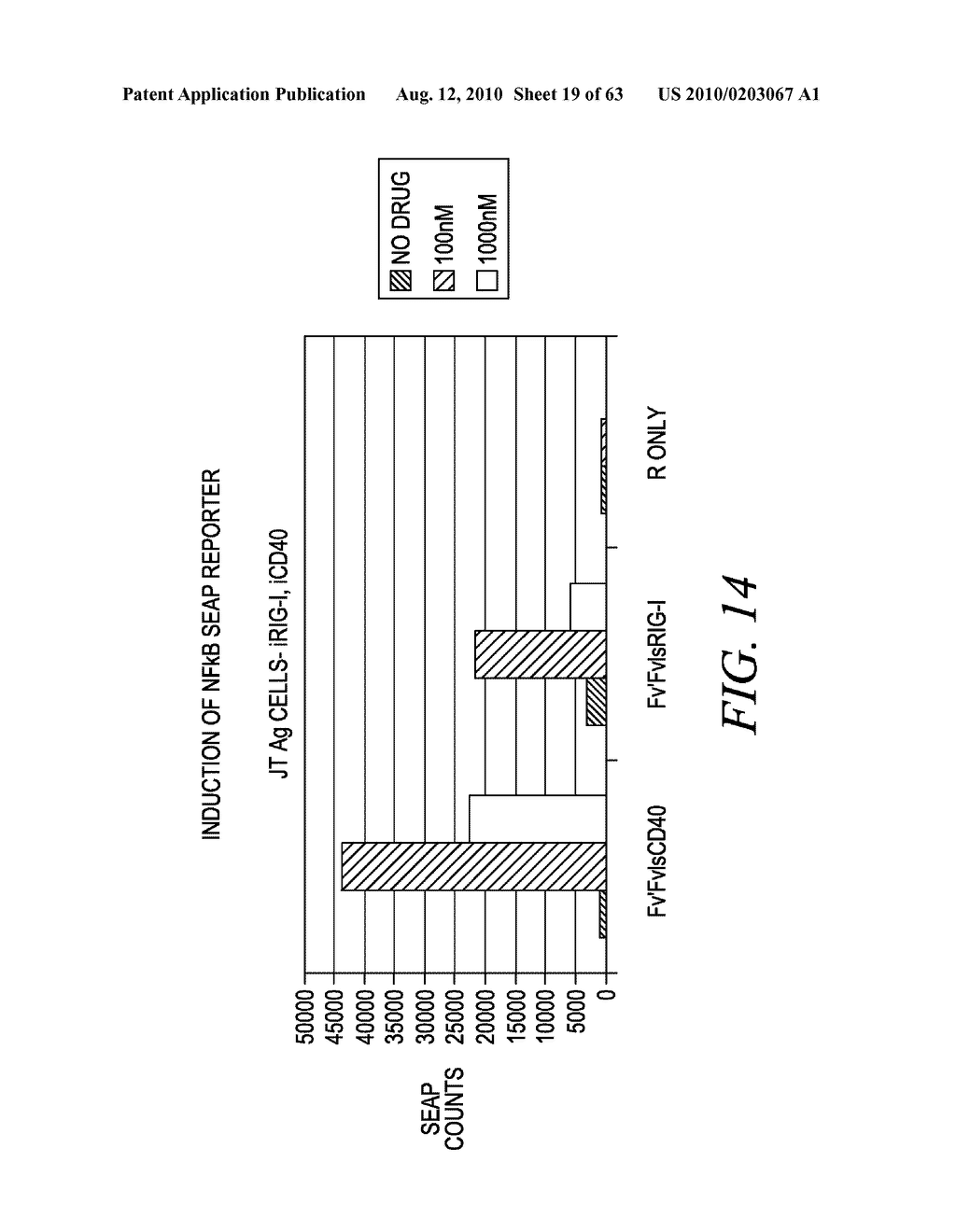 METHODS AND COMPOSITIONS FOR GENERATING AN IMMUNE RESPONSE BY INDUCING CD40 AND PATTERN RECOGNITION RECEPTOR ADAPTERS - diagram, schematic, and image 20