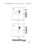 HSV-1 EPITOPES AND METHODS FOR USING SAME diagram and image