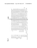 MUTATED STRUCTURAL PROTEIN OF A PARVOVIRUS diagram and image