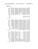 MUTATED STRUCTURAL PROTEIN OF A PARVOVIRUS diagram and image