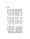 MUTATED STRUCTURAL PROTEIN OF A PARVOVIRUS diagram and image