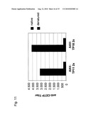 MUTATED STRUCTURAL PROTEIN OF A PARVOVIRUS diagram and image