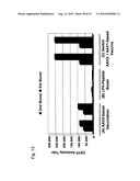 MUTATED STRUCTURAL PROTEIN OF A PARVOVIRUS diagram and image