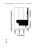 MUTATED STRUCTURAL PROTEIN OF A PARVOVIRUS diagram and image