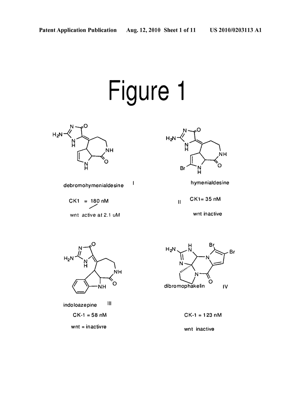 WNT SIGNALLING INHIBITORS, AND METHODS FOR MAKING AND USING THEM - diagram, schematic, and image 02