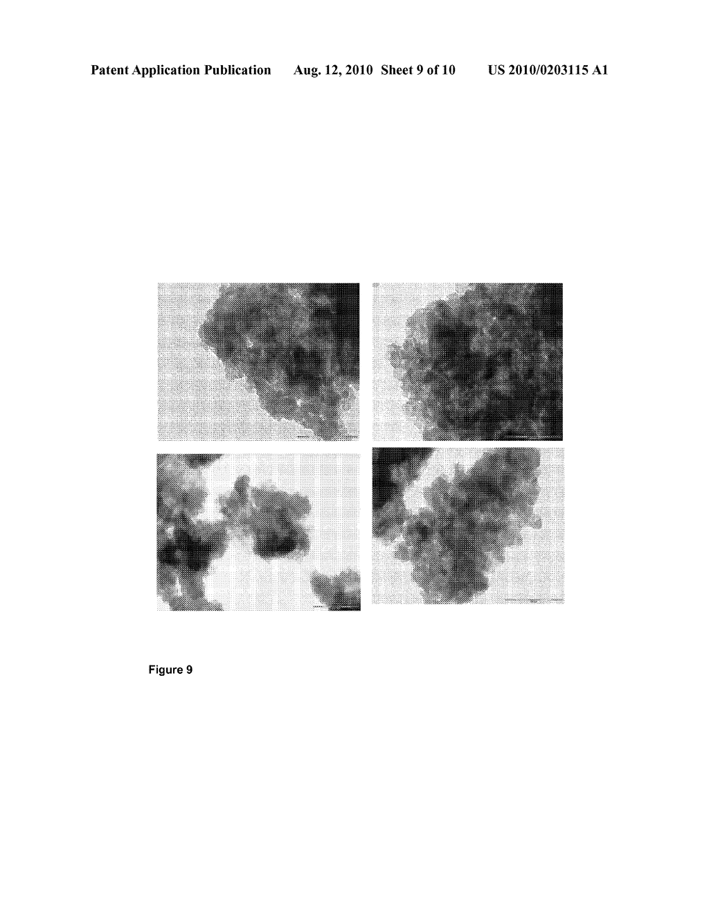 ORGANIC-INORGANIC HYBRID MATERIAL FOR THE STORAGE AND RELEASE OF ACTIVE PRINCIPLES - diagram, schematic, and image 10