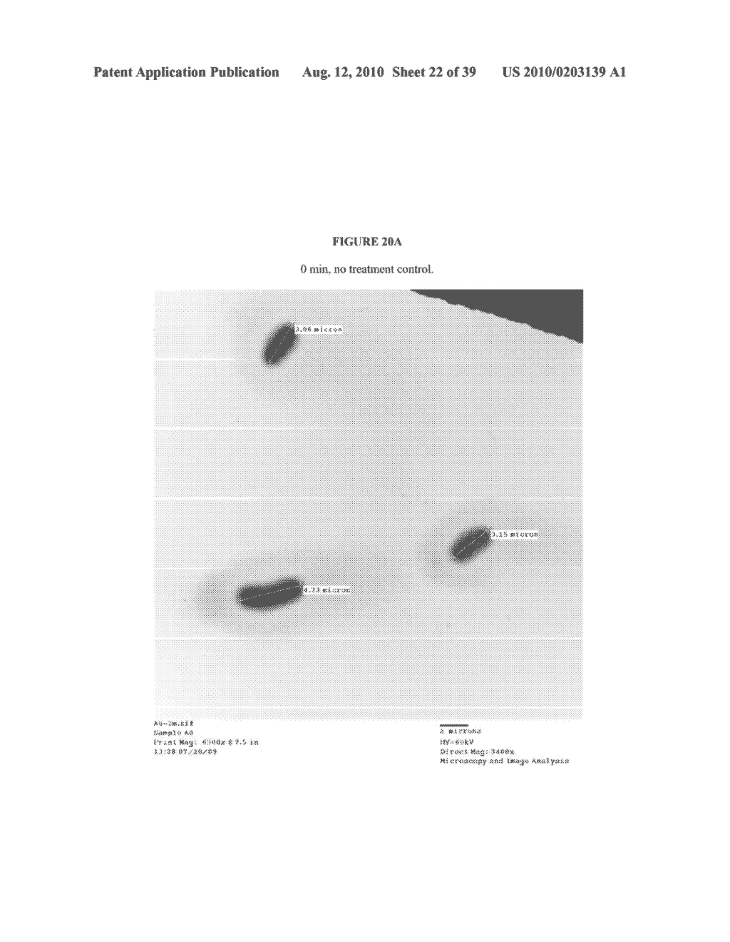 NANOEMULSION THERAPEUTIC COMPOSITIONS AND METHODS OF USING THE SAME - diagram, schematic, and image 23