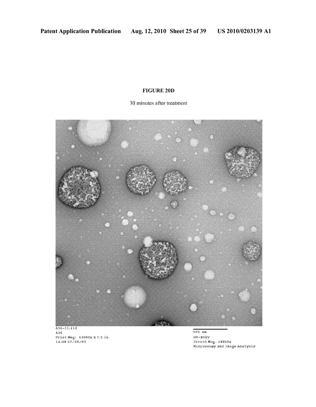 NANOEMULSION THERAPEUTIC COMPOSITIONS AND METHODS OF USING THE SAME - diagram, schematic, and image 26